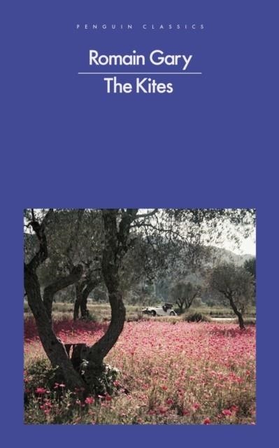 THE KITES | 9780241345610 | ROMAIN GARY