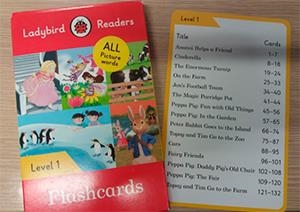 FLASHCARDS. ALL PICTURE WORDS. LEVEL 1 (LADYBIRD) | 9780241294505 | Team Ladybird Readers