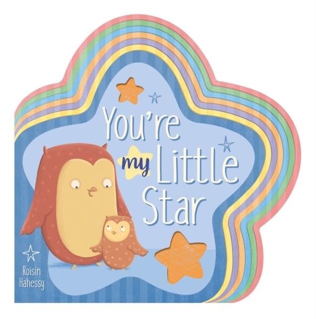 YOU'RE MY LITTLE STAR | 9781788810180 | ROISIN HAHESSY