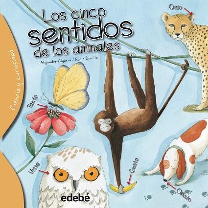 LOS CINCO SENTIDOS DE LOS ANIMALES | 9788468329574 | Algarra Pujante, Alejandro