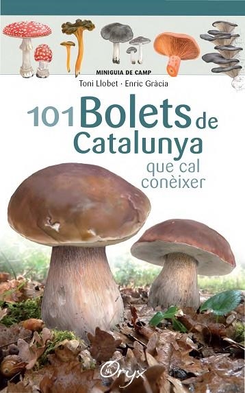 101 bolets de Catalunya | 9788490347096 | Llobet François, Toni;Gràcia, Enric