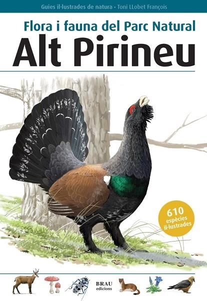 Flora i fauna del Parc Natural Alt Pirineu | 9788496905153 | Llobet François, Toni