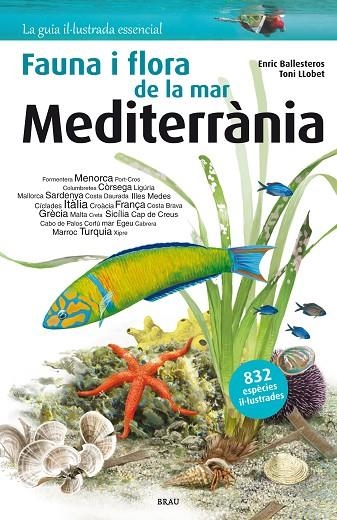 Flora i fauna de la mar Mediterrània | 9788415885252 | Ballesteros Sagarra, Enric