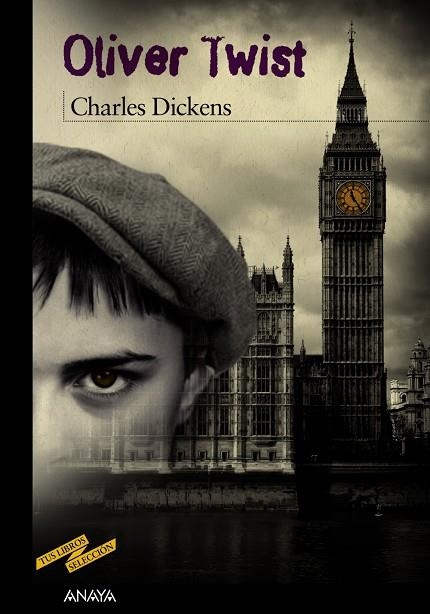 Oliver Twist | 9788466795210 | Dickens, Charles