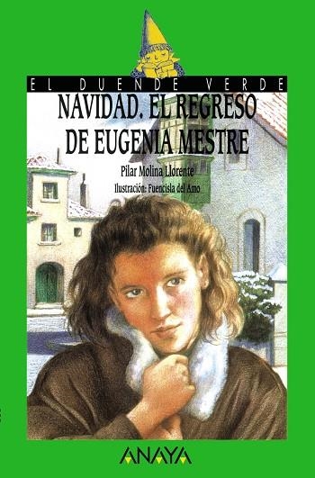 Navidad. El regreso de Eugenia Mestre | 9788420762814 | Molina Llorente, Pilar