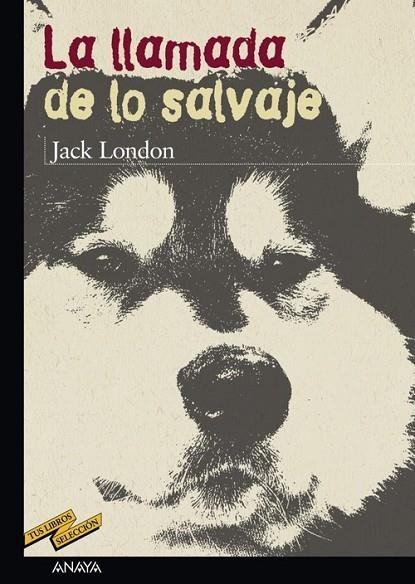 La llamada de lo salvaje | 9788466715638 | London, Jack