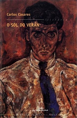 O sol do verán | 9788482886688 | Casares, Carlos