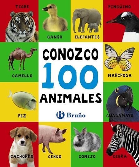 Conozco 100 animales | 9788469606452 | Varios Autores