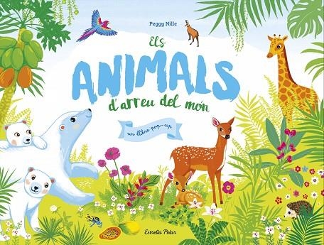 Els animals d'arreu del món | 9788491372455 | PEGGY NILLE