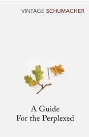 A GUIDE FOR THE PERPLEXED | 9780099480211 | E F SCHUMACHER