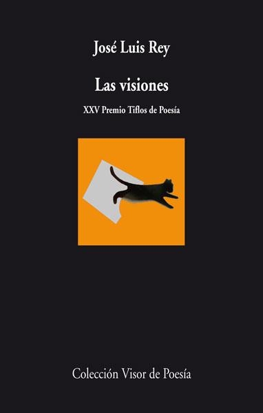 Las visiones | 9788498958164 | Rey, José Luis