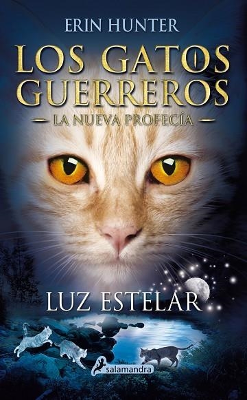 Luz estelar | 9788498387438 | Hunter, Erin