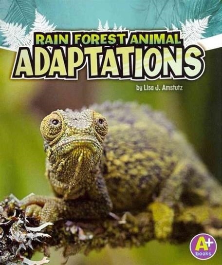 RAIN FOREST ANIMAL ADAPTATIONS | 9781429670340 | LISA J. AMSTUTZ