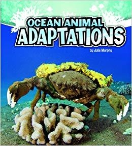 OCEAN ANIMAL ADAPTATIONS | 9781429670296 | JULIE MURPHY