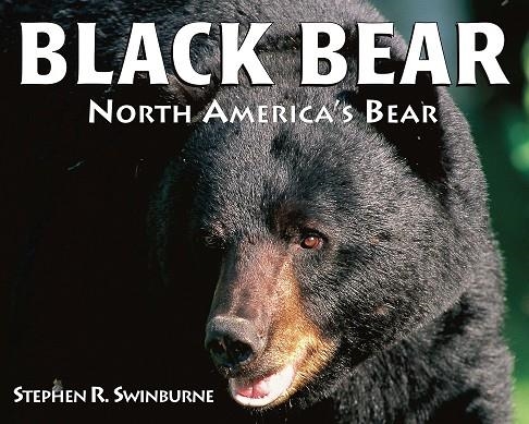 BLACK BEAR. NORTH AMERICA'S BEAR | 9781590787984 | STEPHEN R. SWINBURNE