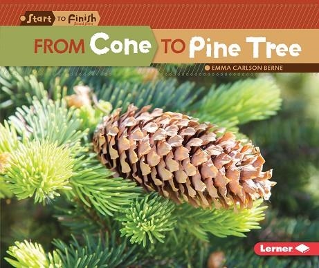 FROM CONE TO PINE TREE | 9781512456226 | EMMA CARLSON BERNE