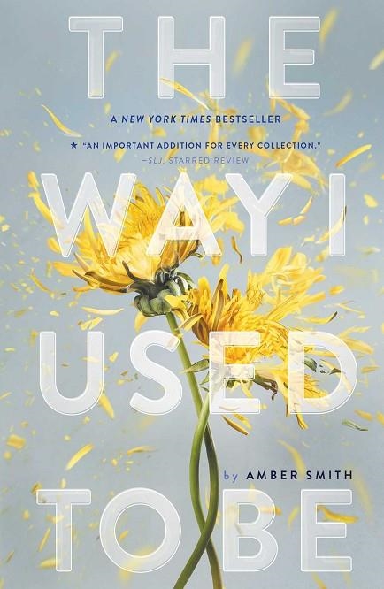 THE WAY I USED TO BE  | 9781481449366 | AMBER SMITH