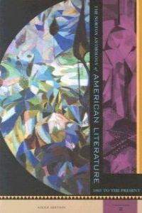 NORTON ANTHOLOGY OF AMERICAN LITERATURE C, D, E | 9780393977943 | BAYM