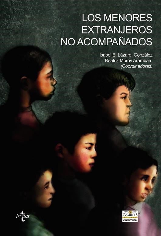 LOS MENORES EXTRANJEROS NO ACOMPAÑADOS | 9788430950836 | LÁZARO GONZÁLEZ, ISABEL E.;MOROY ARAMBARRI, BEATRIZ;BENLLOCH SANZ, PABLO;CLARO QUINTÁNS, IRENE;DURÁN