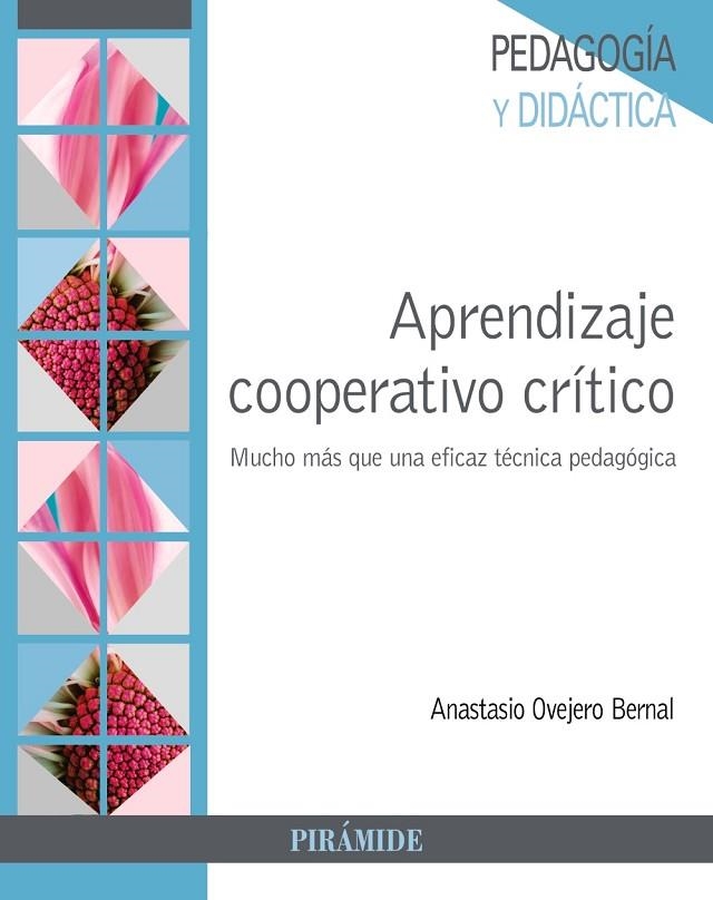 APRENDIZAJE COOPERATIVO CRÍTICO | 9788436840018 | OVEJERO BERNAL, ANASTASIO