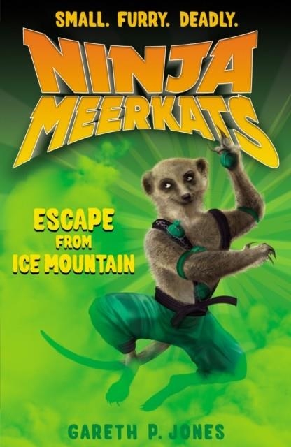 ESCAPE FROM ICE MOUNTAIN: 3 | 9781847152046 | GARETH P JONES