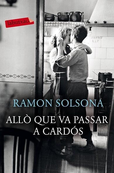 ALLÒ QUE VA PASSAR A CARDÓS | 9788417420239 | RAMON SOLSONA