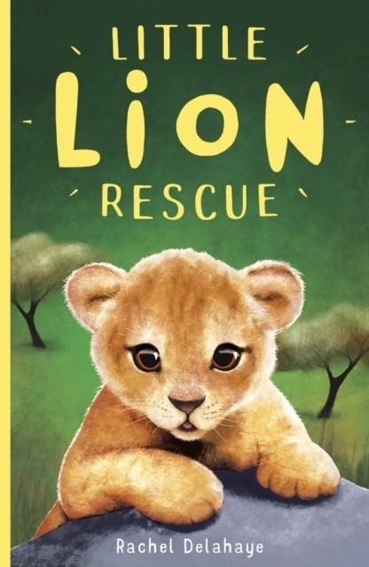 LITTLE LION RESCUE | 9781788950688 | RACHEL DELAHAYE