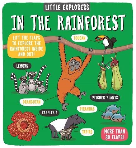 LITTLE EXPLORERS: IN THE RAINFOREST | 9781787413313 | VA