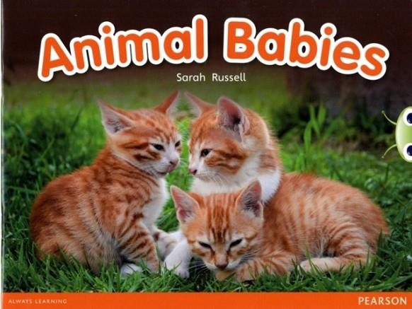 ANIMAL BABIES | 9780435167974