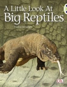 A LITTLE LOOK AT BIG REPTILES | 9780433004387