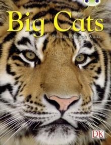 BIG CATS | 9780435075835