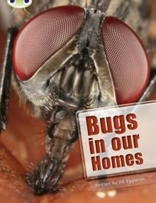 BUGS IN OUR HOMES | 9780435076023