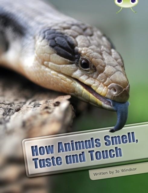 HOW ANIMALS SMELL, TASTE AND TOUCH | 9780435076306