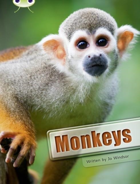 MONKEYS | 9780435076290