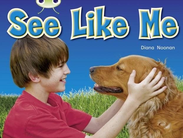 SEE LIKE ME | 9780433004752