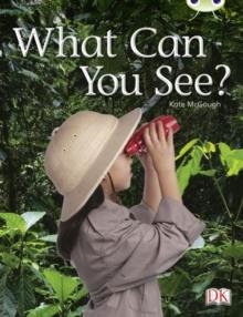 WHAT CAN YOU SEE? | 9780433004707