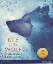 Y6 EYE OF THE WOLF | 9780435160357