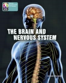 BRAIN AND NERVOUS SYSTEM 6PK-PYP L10 | 9780435016180