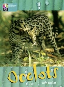 OCELOTS 6PK-PYP L10 | 9780435016586