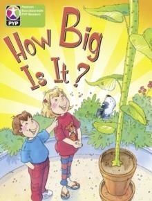 HOW BIG IS IT 6PK-PYP L4 | 9780435994594