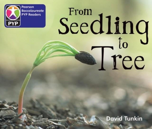 FROM SEEDLING TO TREE 6PK-PYP L2 | 9780435995072