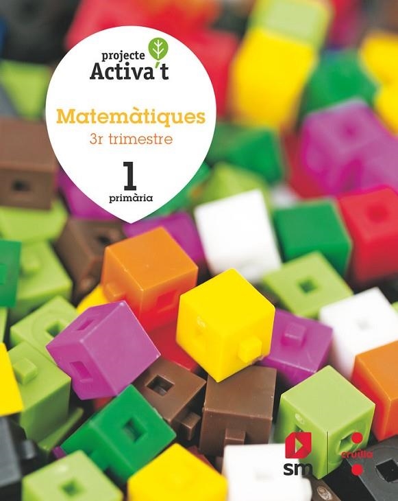 1r EP MATEMÀTIQUES  ACTIVA'T 19 | 9788466145817