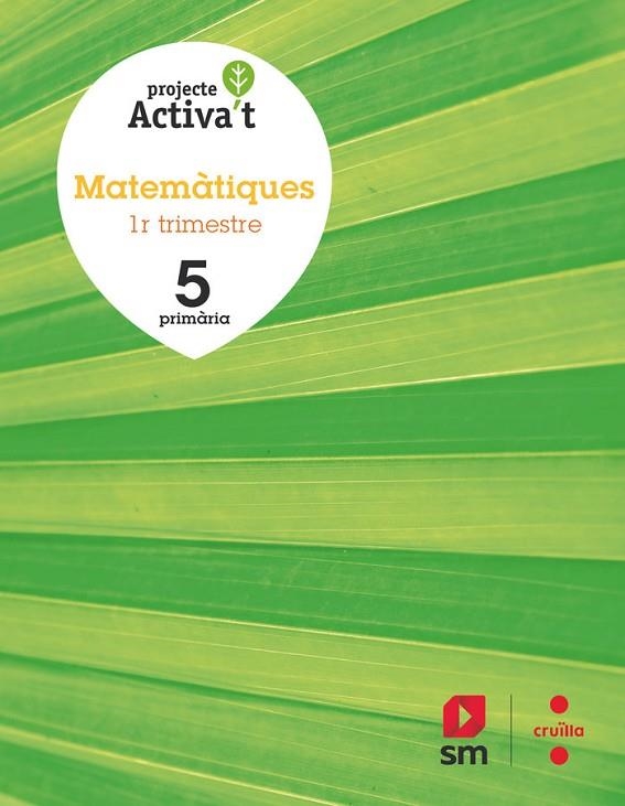 5è EP MATEMÀTIQUES ACTIVA'T 19 | 9788466145855