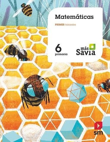 6º EP MATEMÁTICAS Mas SA 19 | 9788491822837