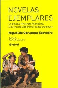 NOVELAS EJEMPLARES | 9788446037712