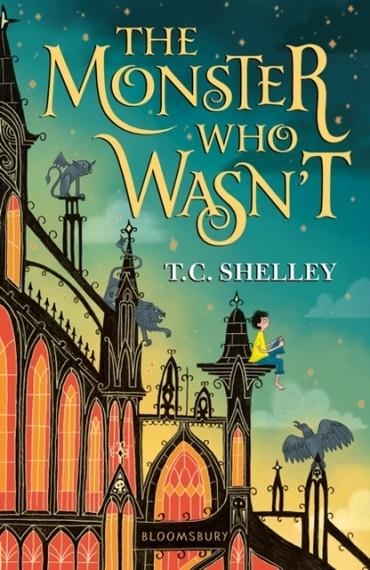 THE MONSTER WHO WASN'T | 9781526600837 | T C SHELLEY