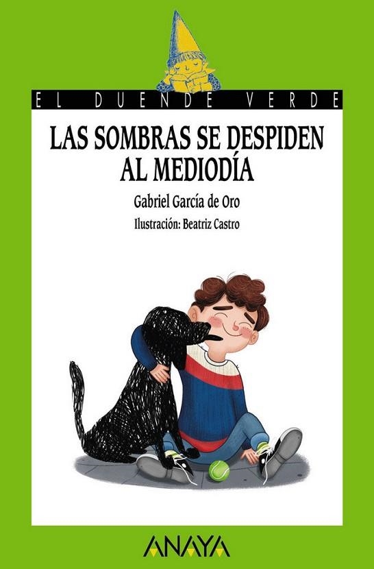 LAS SOMBRAS SE DESPIDEN AL MEDIODÍA | 9788469848449