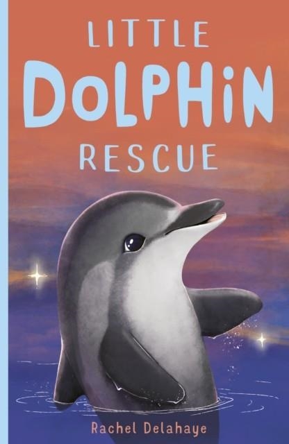 LITTLE DOLPHIN RESCUE : 2 | 9781788950732 | RACHEL DELAHAYE