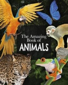 THE AMAZING BOOK OF ANIMALS | 9781789508345 | DR MICHAEL LEACH 