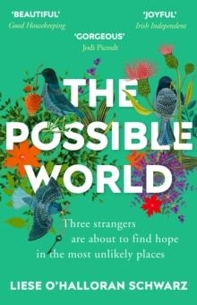 THE POSSIBLE WORLD | 9781784757328 | LIESE O'HALLORAN SCHWARZ